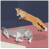 Avatar du membre
